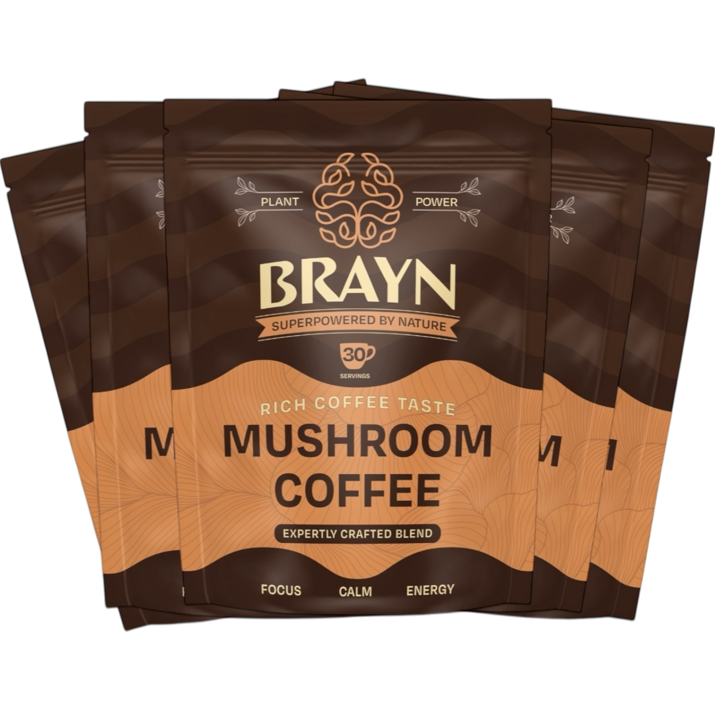 Packaging of Brayn Mushroom Coffee with the tagline 'Rich Coffee Taste. Mushroom Coffee.