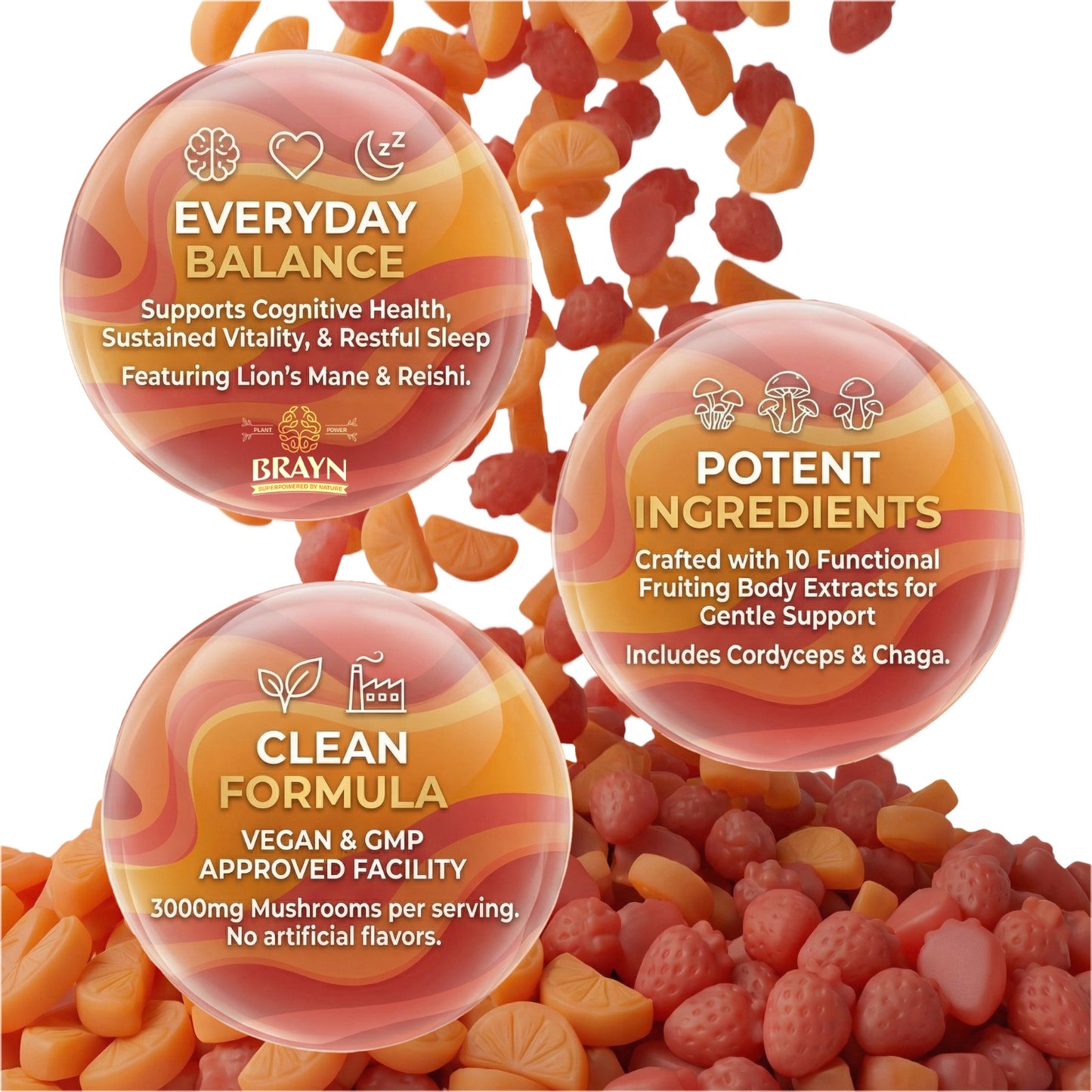 Three round product containers with text on a background of dried fruits and mushrooms.
