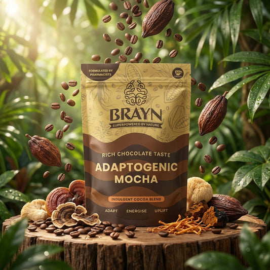 Brayn Adaptogenic Mocha package with cocoa beans and dried herbs on a wooden stump with a natural background