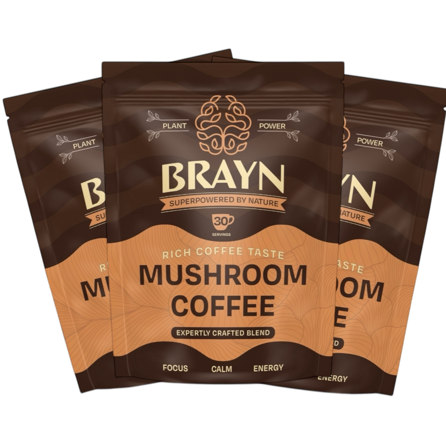 Packaging of Brayn Mushroom Coffee with the tagline 'Rich Coffee Taste. Mushroom Coffee.