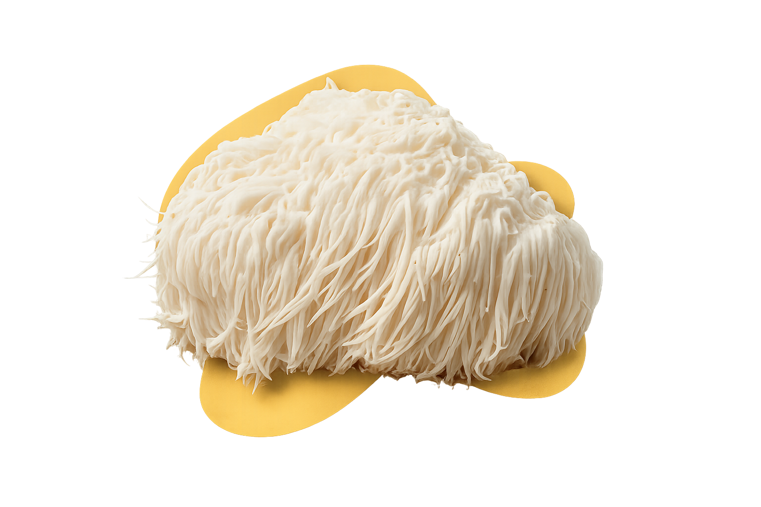 Brewy Mushroom Coffee